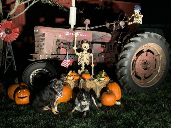 Decorar casa exterior Halloween con tractor y esqueletos