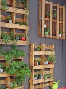 Las paredes de un jardín son un elemento muy importante a decorar. Hay formas muy económicas como el uso de palets para este pseudo jardín vertical