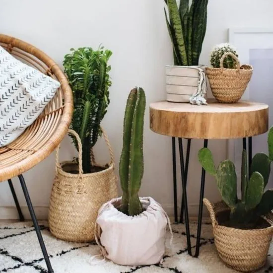 Decorar rincones con porta macetas de troncos de madera