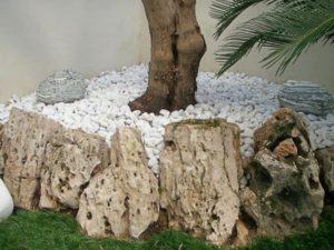 Pie de Árbol protegido y decorado con piedra volcánica