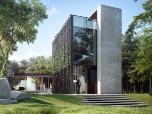Casa moderna en naturaleza con plantas enredaderas