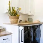 Lavadero industrial sencillo con naturaleza