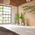 Diseño de ventanas modernas