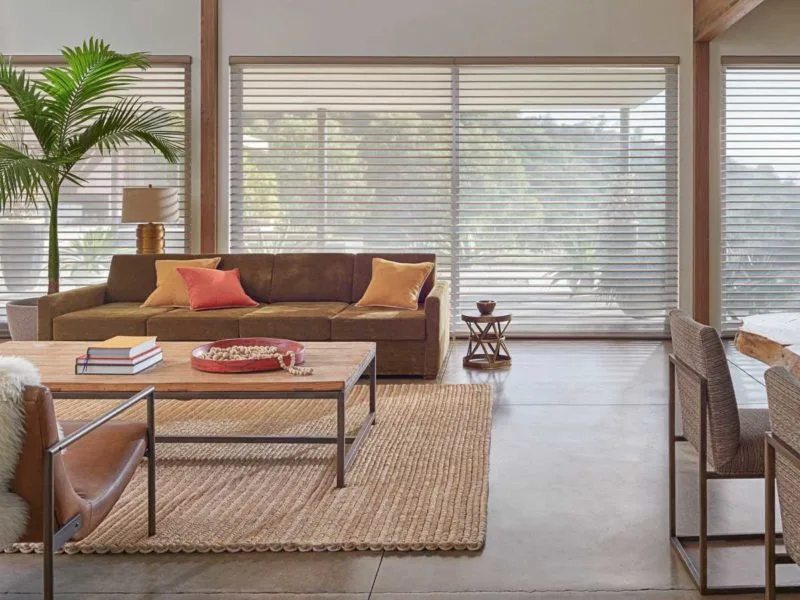 +30 Ideas de Persianas Modernas para poner en tu sala