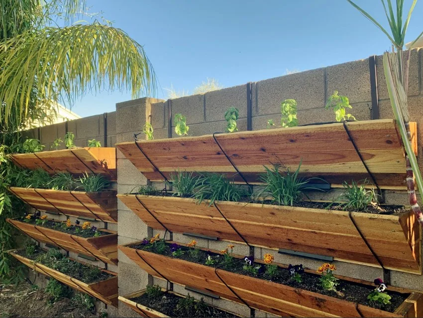 Barda de block con jardín vertical en estantes de madera