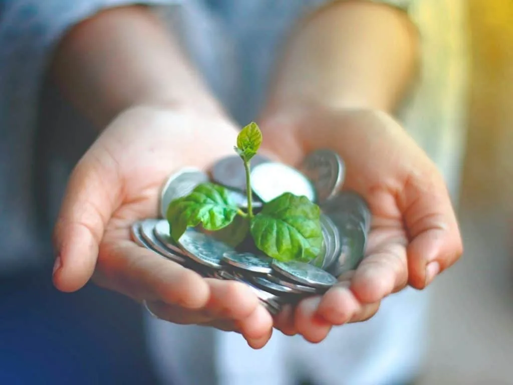 ¿Cuál es el Significado de "la planta del dinero" y su suerte?