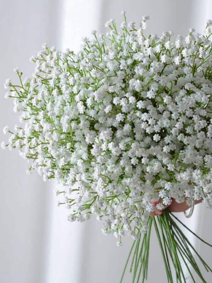 Ramo de flores blancas Gipsófilass